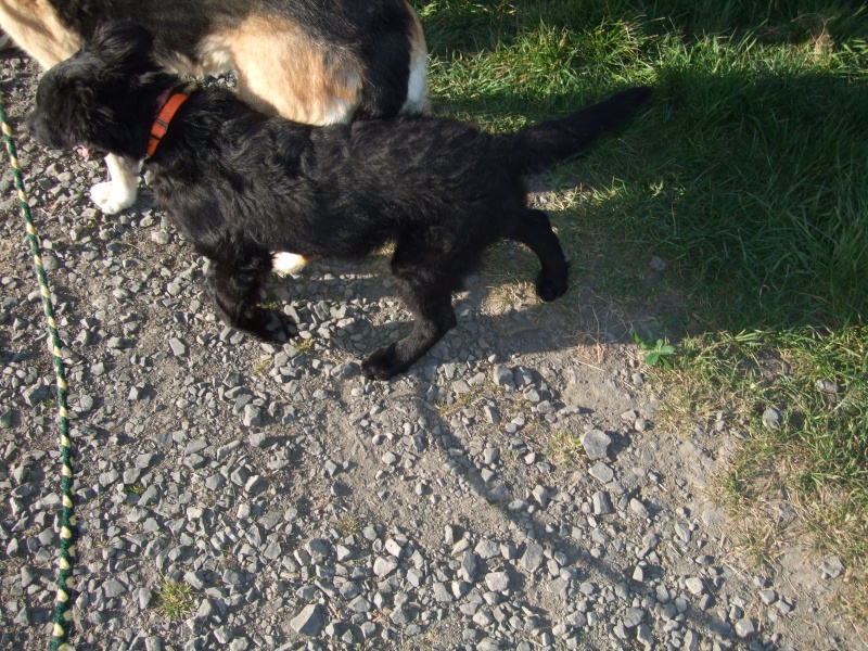 Ostern 2007 Orleshausen 085 